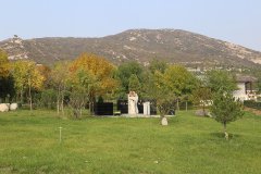 陵园自选地