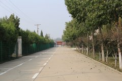 陵园主路