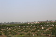 陵园墓区