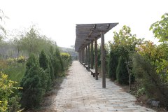 陵园环境